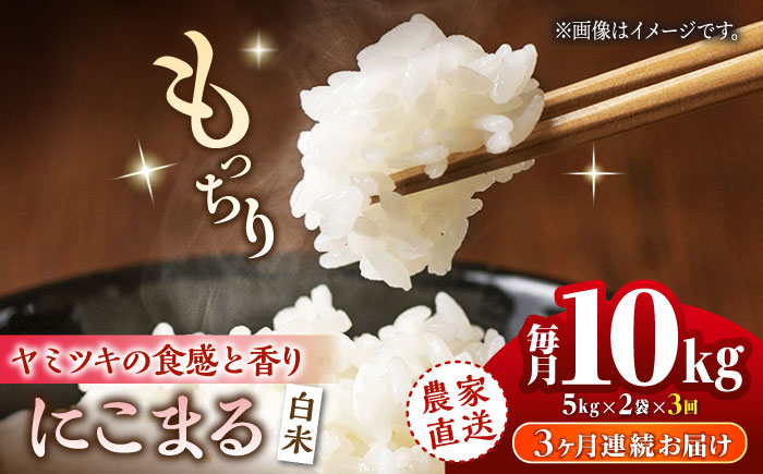 【3回定期便】 にこまる 白米 計10kg（5kg×2袋）【竹下農園】 [ZEL008]