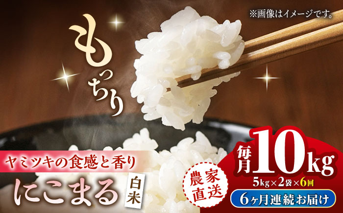 【6回定期便】 にこまる 白米 計10kg（5kg×2袋）【竹下農園】 [ZEL009]