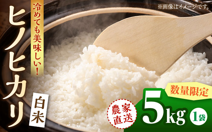 〈令和7年度新米〉ヒノヒカリ 白米 5kg　【竹下農園】 [ZEL014]