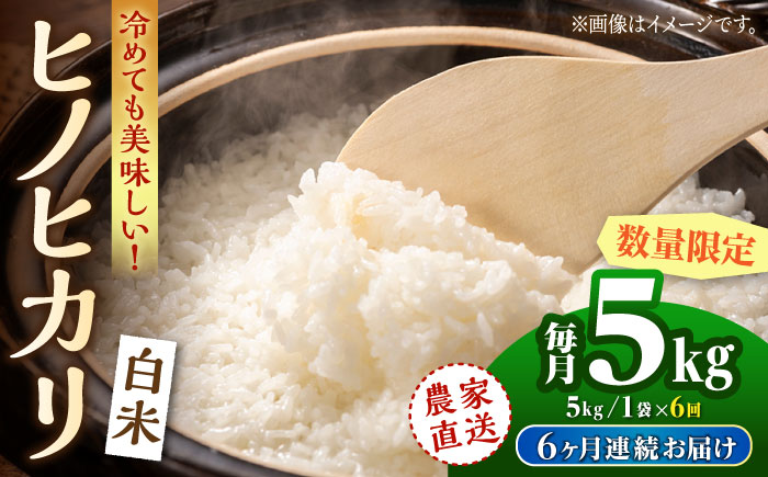 【先行予約】【6回定期便】 ヒノヒカリ 白米 5kg　【竹下農園】 [ZEL017]