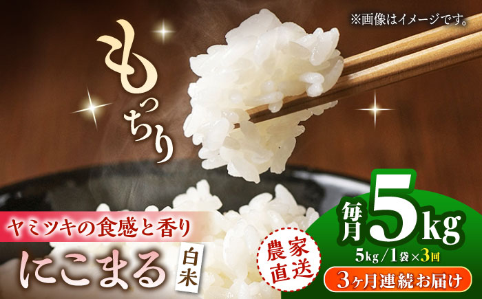 【3回定期便】 にこまる 白米 5kg 【竹下農園】 [ZEL019]