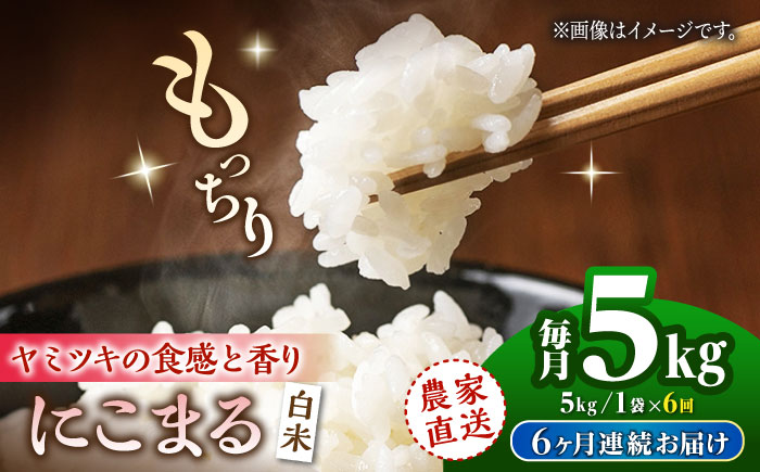 【6回定期便】 にこまる 白米 5kg 【竹下農園】 [ZEL020]
