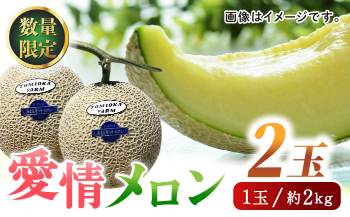 【先行予約】年内発送 愛情 メロン 2玉【とみおか農園】 [ZEM001]