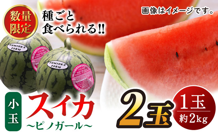 【先行予約】種ごと 食べられる 小玉スイカ 2玉 ピノガール【とみおか農園】 [ZEM003]