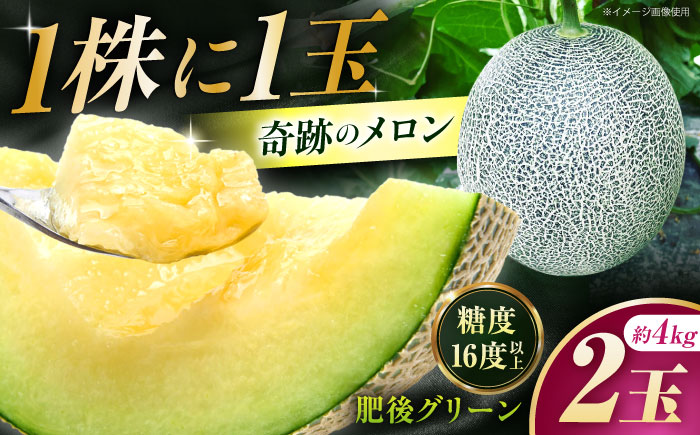 【先行予約】  肥後グリーン メロン 約4kg（2玉） 【とみおか農園】 [ZEM006]