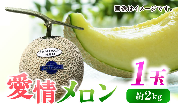 【先行予約】年内発送 愛情 メロン 1玉【とみおか農園】 [ZEM007]