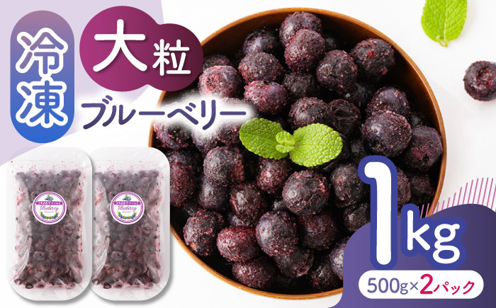 大粒 冷凍ブルーベリー 約1000g（約500g×2pc） 【すみれファーム】 [ZEP007]
