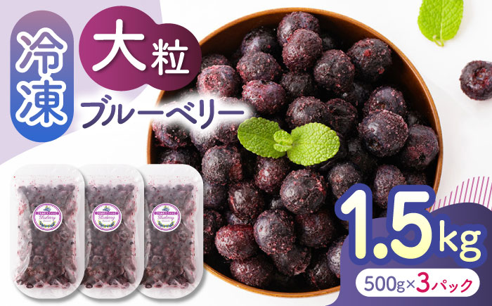 大粒 冷凍ブルーベリー 約1500g（約500g×3pc） 【すみれファーム】 [ZEP008]