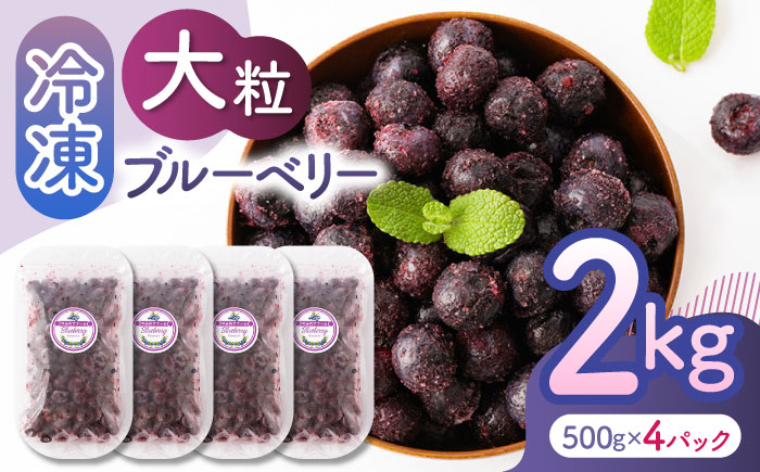 大粒 冷凍ブルーベリー 約2000g（約500g×4pc）【すみれファーム】 [ZEP009]