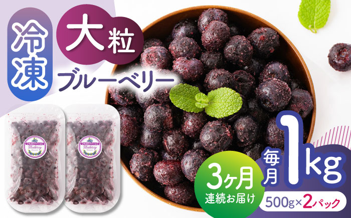 【3回定期便】大粒 冷凍ブルーベリー 約1000g（約500g×2pc）【すみれファーム】 [ZEP010]