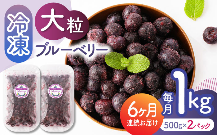 【6回定期便】大粒 冷凍ブルーベリー 約1000g（約500g×2pc）【すみれファーム】 [ZEP011]