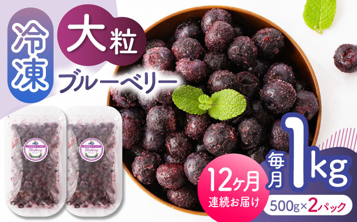 【12回定期便】大粒 冷凍ブルーベリー 約1000g（約500g×2pc） 【すみれファーム】 [ZEP012]