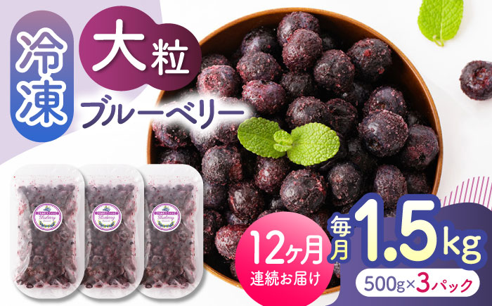 【12回定期便】大粒 冷凍ブルーベリー 約1500g（約500g×3pc） 【すみれファーム】 [ZEP015]