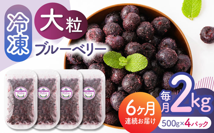 【6回定期便】大粒 冷凍ブルーベリー 約2000g（約500g×4pc） 【すみれファーム】 [ZEP017]