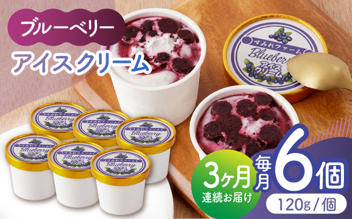 【3回定期便】ブルーベリーアイスクリーム 6個セット 【すみれファーム】 [ZEP033]