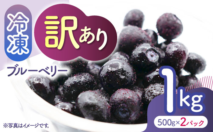 【訳あり】 冷凍ブルーベリー 小粒 約1kg（約500g×2pc） 【すみれファーム】 [ZEP045]