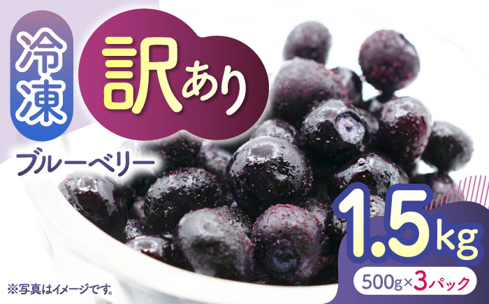 【訳あり】 冷凍ブルーベリー 小粒 約1.5kg（約500g×3pc） 【すみれファーム】 [ZEP046]
