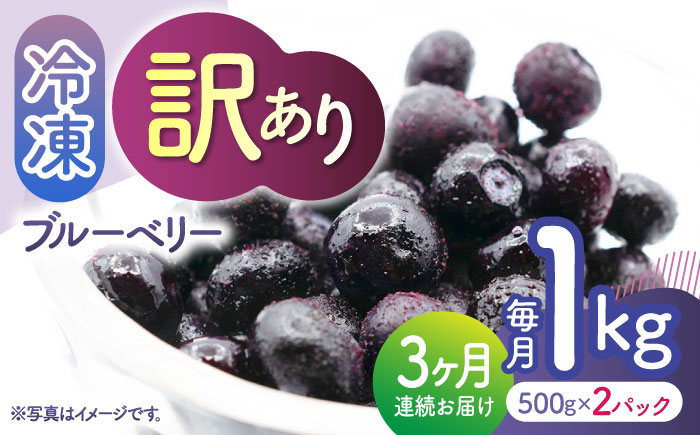 【3回定期便】【訳あり】 冷凍ブルーベリー 小粒 約1kg（約500g×2pc） 【すみれファーム】 [ZEP048]