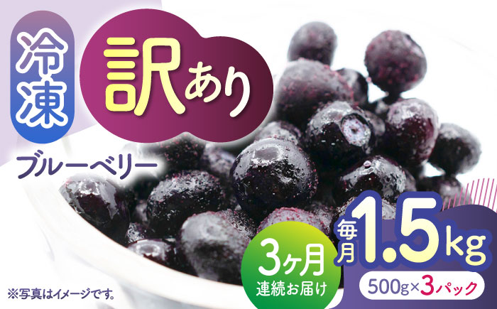 【3回定期便】【訳あり】 冷凍ブルーベリー 小粒 約1.5kg（約500g×3pc） 【すみれファーム】 [ZEP049]