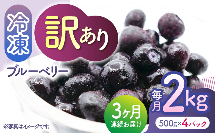 【3回定期便】【訳あり】 冷凍ブルーベリー 小粒 約2kg（約500g×4pc） 【すみれファーム】 [ZEP050]