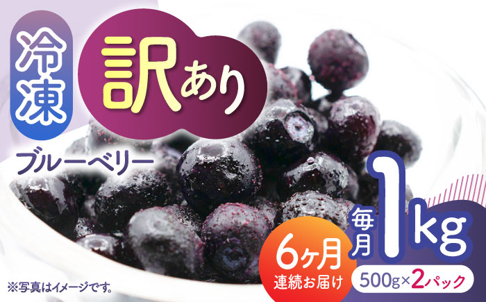 【6回定期便】【訳あり】 冷凍ブルーベリー 小粒 約1kg（約500g×2pc） 【すみれファーム】 [ZEP051]