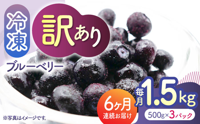 【6回定期便】【訳あり】 冷凍ブルーベリー 小粒 約1.5kg（約500g×3pc） 【すみれファーム】 [ZEP052]