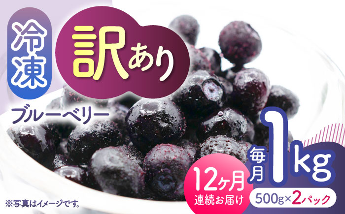 【12回定期便】【訳あり】 冷凍ブルーベリー 小粒 約1kg（約500g×2pc） 【すみれファーム】 [ZEP054]