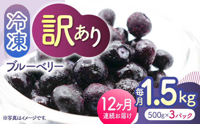 【12回定期便】【訳あり】 冷凍ブルーベリー 小粒 約1.5kg（約500g×3pc） 【すみれファーム】 [ZEP055]