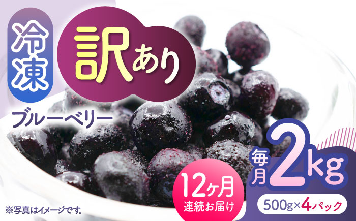 【先行予約】【12回定期便】【訳あり】 冷凍ブルーベリー 小粒 約2kg（約500g×4pc） 【すみれファーム】 [ZEP056]