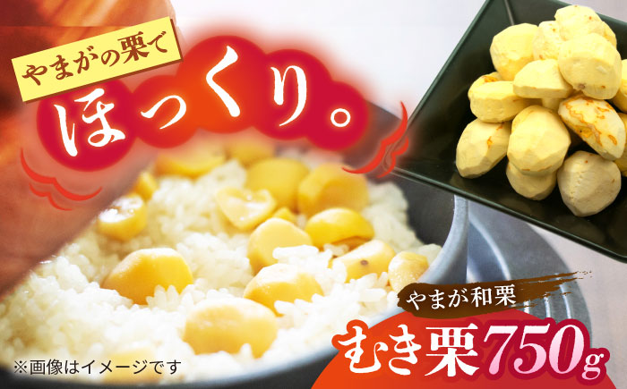 【先行予約】 むき栗 約750ｇ（約250g×3pc） 【すみれファーム】 [ZEP064]