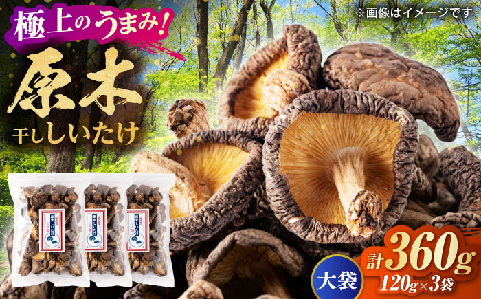 原木 干ししいたけ 大袋360ｇ（120ｇ×3袋） 【すみれファーム】 [ZEP070]