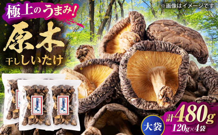 原木 干ししいたけ 大袋480ｇ（120ｇ×4袋） 【すみれファーム】 [ZEP071]