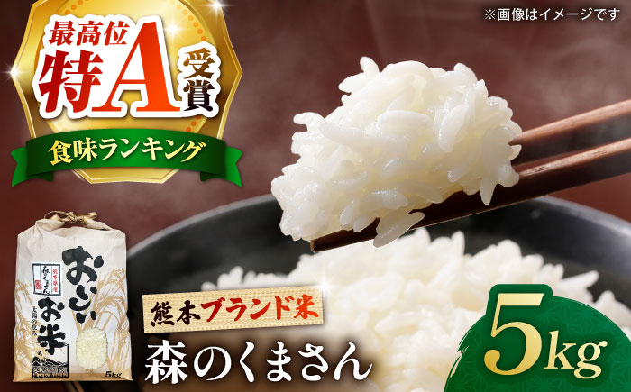 〈令和7年度新米〉 熊本県産　お米 森のくまさん 5kg 【すみれファーム】 新米 令和7年産 [ZEP072]