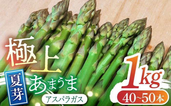 【2026年】 5～9月配送 極上あまうま 夏芽 アスパラガス M～L 1kg （40～50本）【Nature-falo】[ZEQ002]