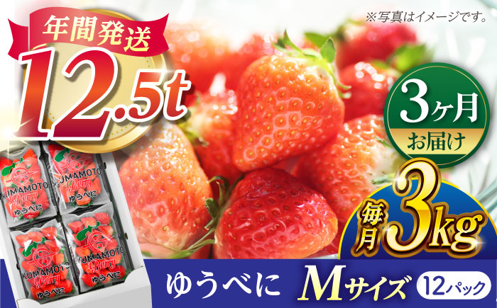 【先行予約】【3回定期便】いちご Mサイズ ゆうべに 3kg（12pc）【熊本ベリー】 いちご イチゴ 苺 ゆうべに 大粒いちご  [ZER012]