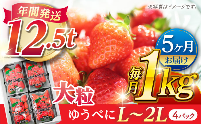 【先行予約】【5回定期便】大粒いちご L～2L ゆうべに 1kg（4pc）【熊本ベリー】 [ZER016]