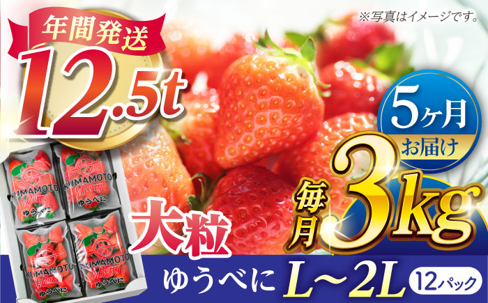 【先行予約】【5回定期便】大粒いちご L～2L ゆうべに 3kg（12pc）【熊本ベリー】 [ZER018]