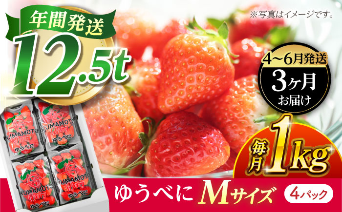《3月より発送開始》 【3回定期便】 いちご Mサイズ ゆうべに 1kg（4pc）【熊本ベリー】 [ZER022]