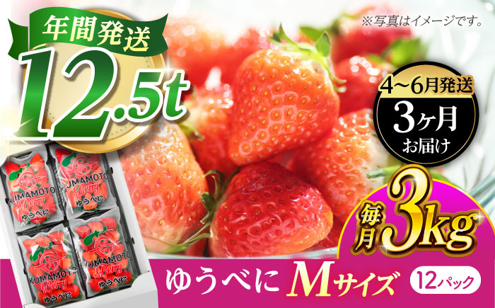《3月より発送開始》 【3回定期便】 いちご Mサイズ ゆうべに 3kg（12pc）【熊本ベリー】 [ZER024]