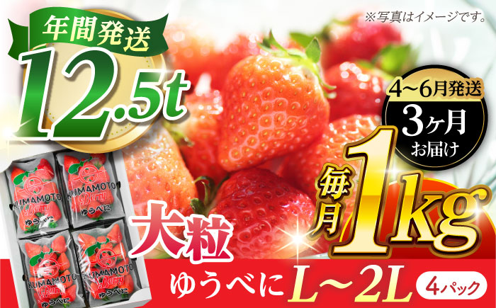 《3月より発送開始》 【3回定期便】 大粒いちご L～2L ゆうべに 1kg（4pc）【熊本ベリー】 [ZER025]