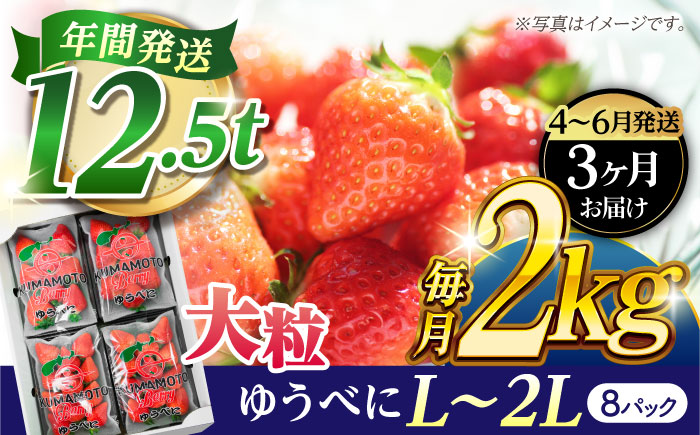 《3月より発送開始》 【3回定期便】 大粒いちご L～2L ゆうべに 2kg（8pc）【熊本ベリー】 [ZER026]
