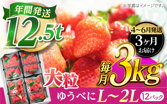 《3月より発送開始》 【3回定期便】 大粒いちご L～2L ゆうべに 3kg（12pc）【熊本ベリー】 [ZER027]