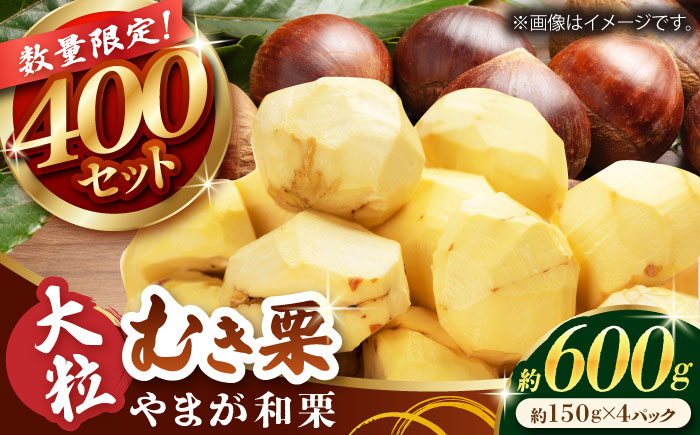 【先行予約】 やまが和栗 大粒むき栗 約600g（約150g×4pc）小分け【古川農園】 [ZES001]