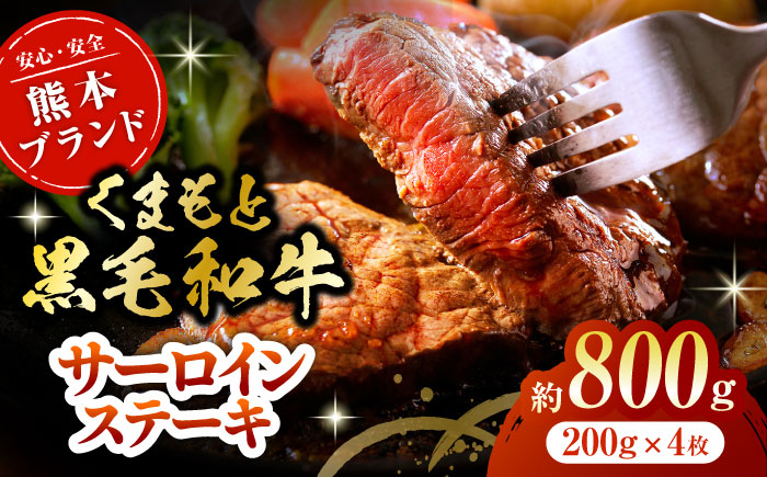 黒毛和牛サーロイン ステーキ用 約800g（約200g×4枚）【吉里精肉】 [ZEW015]
