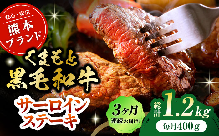 【3回定期便】黒毛和牛サーロイン ステーキ用 約400g（約200g×2枚）【吉里精肉】 [ZEW066]