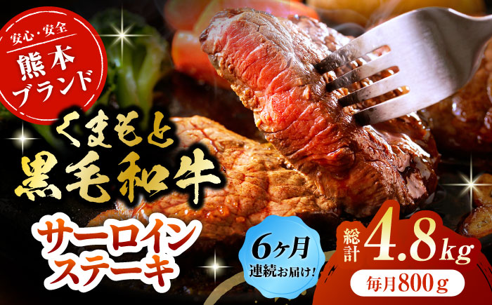 【6回定期便】黒毛和牛サーロイン ステーキ用 約800g（約200g×4枚）【吉里精肉】 [ZEW070]