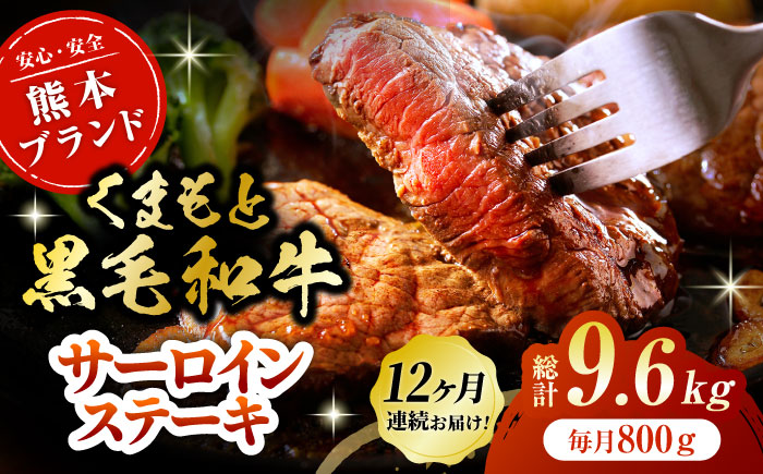 【12回定期便】黒毛和牛サーロイン ステーキ用 約800g（約200g×4枚）【吉里精肉】 [ZEW071]