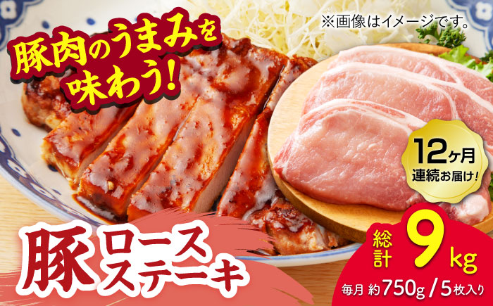 【12回定期便】豚ロースステーキ 約750g（約150g×5枚）【吉里精肉】 [ZEW089]