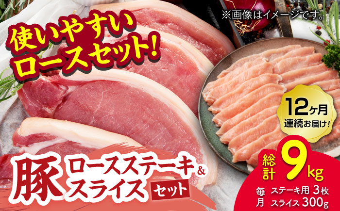 【12回定期便】豚ロースステーキ＆スライスセット 約750g（ステーキ用 約150g×3枚・スライス 約300g×1pc）【吉里精肉】 [ZEW101]