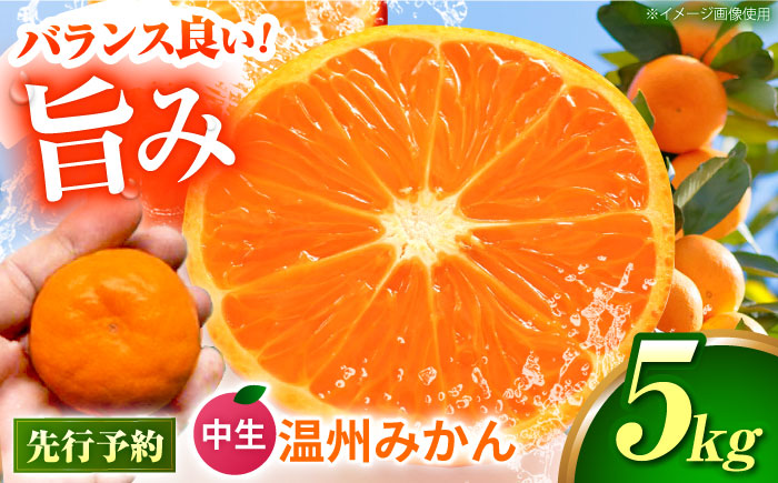 中生温州みかん 5kg 【池田農園】 [ZEX003]